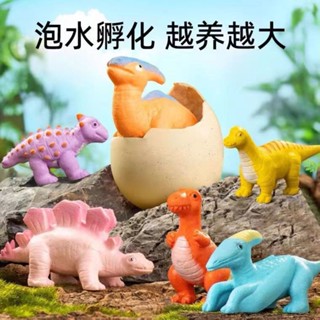 【臺灣發貨】恐龍蛋孵化泡水衕款泡水兒童玩具大號泡水長大變大膨脹霸王龍