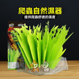 免運 加濕器 寵物加濕器 爬寵加濕草 自然蒸發 爬蟲加濕器 進口紙質加濕器 爬蟲增濕紙 物理環保 nomo諾摩自然爬蟲加