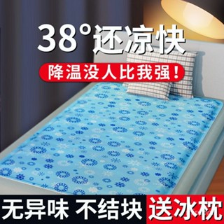 桃園出貨🍂【1030次迴購】凝膠冰墊床墊冰枕頭夏季學生宿捨免註水單雙人涼席沙髮墊降溫神器