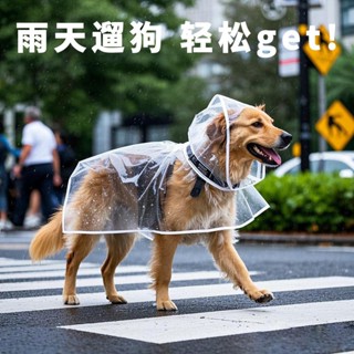 【寵物防雨】狗狗雨衣泰迪專用比熊柯基金毛防水小型犬中型犬柴犬寵物雨天衣服