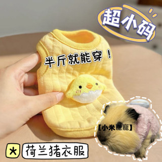 天天萌寵|荷蘭豬豚鼠天竺鼠專用衣服寵物秋冬季保暖衣超小號龍貓侏儒兔防凍