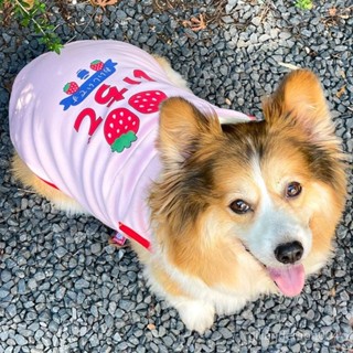 【臺灣出貨】新款寵物夏季衣服 博美背心 夏季柯基 泰迪 比熊 中小型犬衣服 2025戶外可愛狗狗衣服