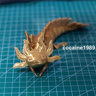 臺灣爆款💖列印玩具 3D 爆款 3d列印可愛六角恐龍魚蠑螈帶翅膀可動關節精美兒童禮物擺件模型