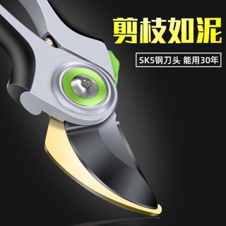 園藝剪 修樹枝剪刀 樹枝剪刀 園藝剪刀 花藝剪刀 修花剪刀 果樹剪 剪樹枝專用剪子園藝修枝剪剪刀修剪果樹花枝樹枝修剪神器