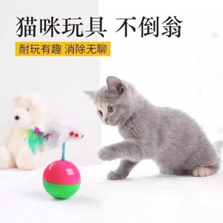 【新店福利價】不倒翁老鼠毛絨逗貓用品狗狗寵物玩具創意貓咪沙聲寵物玩具