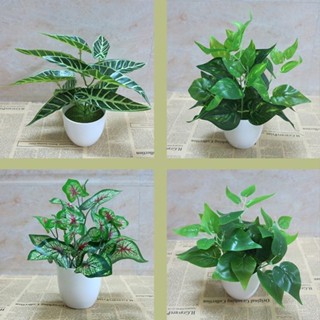 滿額免運 模擬綠植假植物室內外裝飾塑膠小盆栽綠蘿葉子模擬花草植物小擺件