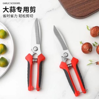 🔥臺灣24H🔥不銹鋼免磨鋒利大蒜剪刀專用剪蒜根剪蒜頭剪農用大蔥生薑洋蔥剪子不銹鋼免磨鋒利大蒜剪刀 GVKF