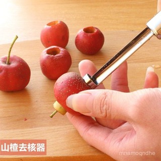 🔥限時特賣🔥山楂去核器紅棗去核工具櫻桃蘋果去籽抽芯器水果果分離器不銹鋼