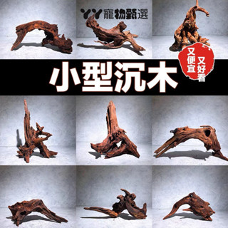 免運 攀爬木 造景木 爬寵攀爬木 枯木造景 天然枯木 沉木 霸王藤木 守宮 蜥蜴 爬寵攀爬木鬃獅蜥曬臺捷角守宮蛇躲避飼養
