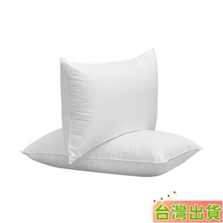 臺灣發貨 防蟎抗菌枕 可水洗 枕頭 護頸枕 乳膠枕 兒童枕頭 冰絲枕 枕頭套 抱枕 枕頭套 枕芯 枕芯