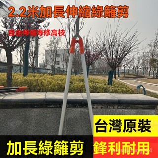 高階品質🎁免運🚚 加長2.2米花剪 修枝剪 草坪剪 綠籬剪 果樹剪 園林修剪 樹枝伸縮灌木園