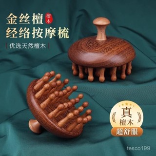🔥臺灣出貨🔥【1243人好評】按摩梳女檀木頭部經絡梳五齒按摩梳頭皮疏通神器養髮保健梳子通用