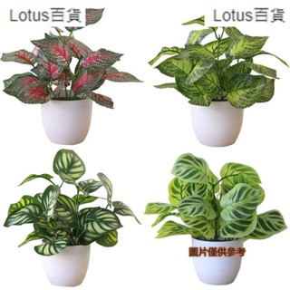 熱賣🎈仿真植物盆栽 紫蘇葉 婚慶隔斷裝飾 西瓜葉 商場綠化假樹景觀草🎄森活館🎄