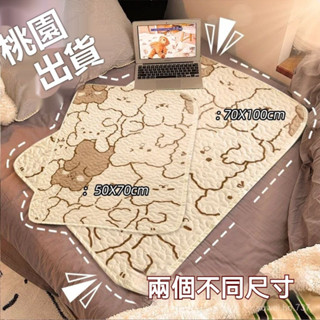 🍊桃園出貨-熱銷中🍊可機洗姨媽墊 床上護理墊 隔尿防水墊 尿布墊 姨媽墊 成人透氣尿墊 生理墊 床墊