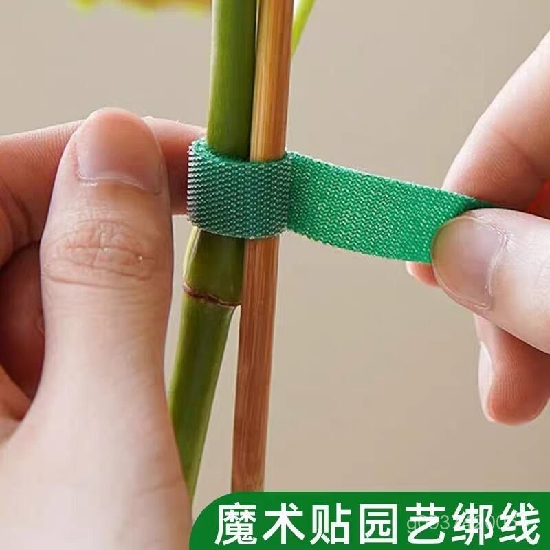 樹枝捆紮器的價格推薦 - 2025年6月 | 比價比個夠BigGo
