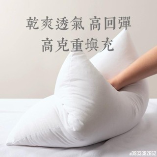 【魔法雜貨鋪】☁️長纖維不結團 飽滿度升級 抱枕芯枕心 7D纖維棉磨毛布抱枕腰枕芯可水洗帶拉鍊 純白枕芯