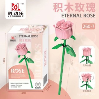 🔥臺灣出貨🔥【店鋪熱銷】中國積木芙蓉花永生花束迷你顆粒拚裝模型女生辦公桌客廳裝飾禮物 KKIV