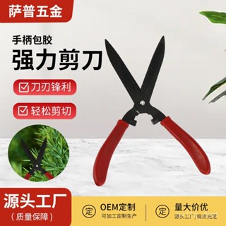 臺灣熱賣廠家直銷果園修枝剪 手柄包膠園林園藝剪刀 家用盆景花藝剪批髮 VMOI