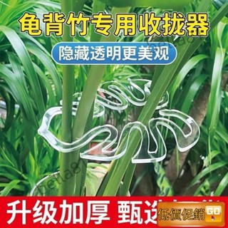植物莖支架 植物支架 龜背芋架 龜背竹支撐桿防倒 固定支架固定器枝幹固定花盆架 花莖架 隱形支撐架 透明支架 TQPY