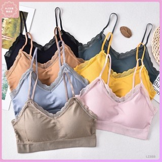 🌸優選精品🌸新款小熊仙內衣無縫新款可調整美背裹胸 吊帶背心美背內衣 細肩帶蕾絲抹胸內衣女L3
