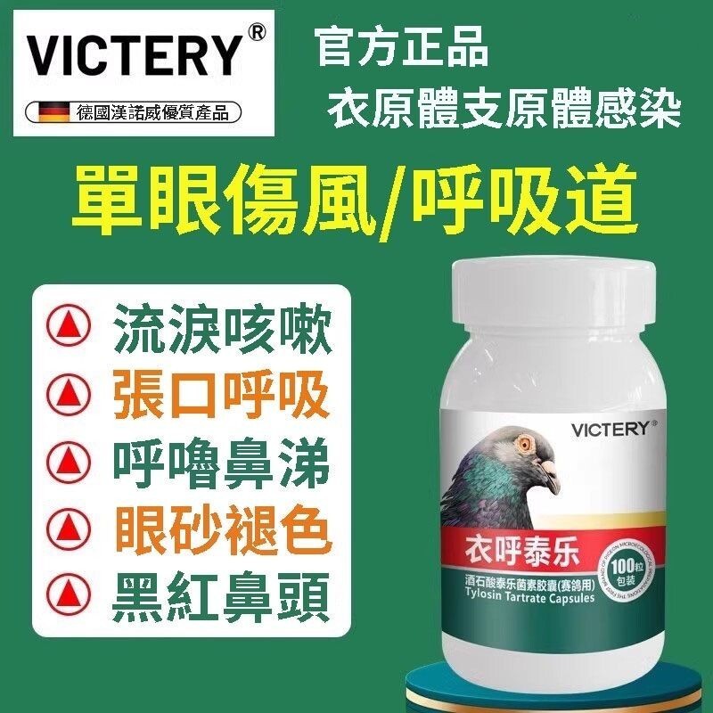 六月 德國 漢諾威 衣呼泰樂 單眼傷風 衣原體支 張口呼吸 黑紅鼻頭 呼嚕鼻涕 呼吸道 原體感染 流淚咳嗽 LJXH