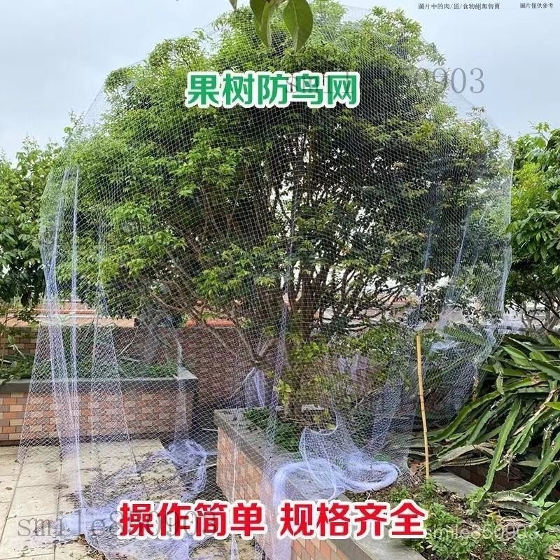 【迴頭客4723人】櫻桃果樹防鳥網嘉寶果樹防鳥果樹防鳥用網水果樹防鳥罩農用