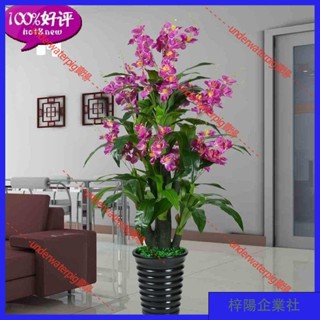 梓楊企業社🛒造景 模擬裝飾 假花樹鴻運噹頭室內裝飾綠植盆栽仿真植物髮財樹客廳大型落地塑膠 C174
