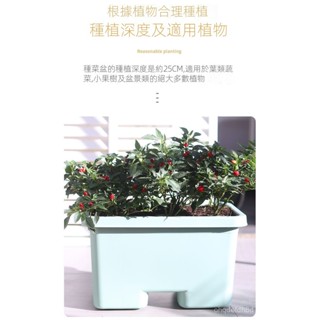 精品 / 免運下 蔬菜種植箱陽臺種菜盆懶人花盆家用花卉專用箱長方形大菜盆塑料盆 種植箱 養殖箱 種菜箱 花盆箱 種菜盆