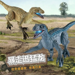 【臺灣出貨】暴走迅猛龍 模擬恐龍玩具 無線四通USB紅外線電動遙控玩具 兒童玩具