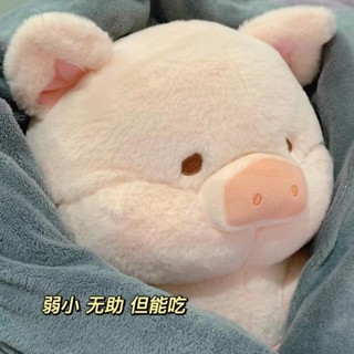 臺灣出貨豬豬毛絨玩具露露豬玩偶睡覺抱枕宿舍車載娃娃兒童生日禮物男女生