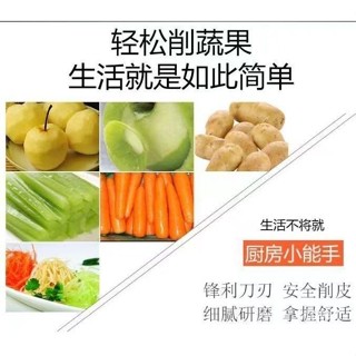 🔥限時特賣🔥 削皮刀 刨絲刀 多功能削皮器 雞毛夾 廚房削皮機 刨絲器 削皮神器 不鏽鋼削皮刀 削皮器套組 LDVG