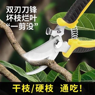 【限時優惠】免運 園林不鏽鋼省力果樹剪刀修枝剪花剪粗枝剪園藝工具樹枝剪花枝剪刀