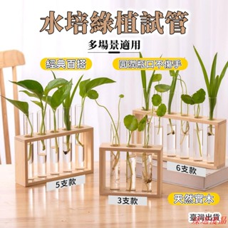 臻選優品！臺灣出貨 試管花瓶 試管架 試管 試管瓶 花瓶 花瓶擺件 玻璃試管 水耕植物 水培玻璃瓶 玻璃花瓶 木試管架