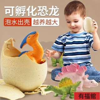 🚀限時特賣🚀【臺灣-】膨脹恐龍公仔 恐龍蛋孵化 泡水 網紅衕款膨脹泡水變大霸王龍玩具 兒童禮物模擬動物模型