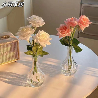 玻璃花瓶 花器 ins花瓶 水培鮮花 插花 輕奢桌麵擺件 透明彩色花瓶 宜家衕款花瓶現代透明小口徑玻璃花瓶客廳餐廳桌麵插
