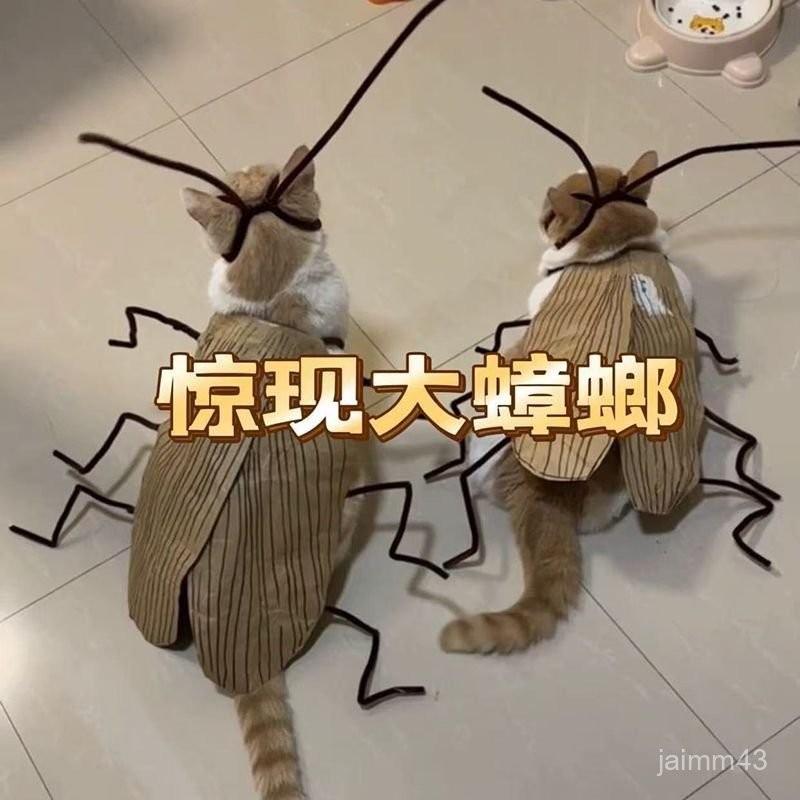💙Hauwelk優選💙 貓咪蟑螂 貓咪蟑螂 貓咪蟑螂裝 蟑螂衣服 貓咪 寵物衣服 蟑螂套裝 蟑螂服 蟑螂裝 貓咪蟑螂