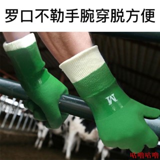 清倉底價出🌟🌟防水手套用不爛洗刷碗女耐用家務清潔洗車殺魚柔軟無味洗菜洗衣服