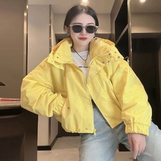 【ZFX闆娘自留】連帽衝鋒衣外套女2025春季新款韓版寬鬆休閒百搭小個子短版上衣潮 大尺碼胖MM韓風短板女裝外套時尚百搭
