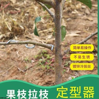 臺灣出貨🔥【3260人好評】果樹壓枝神器m型拉枝器果樹拉枝定型器果園通用枝條固定器別枝器K0609