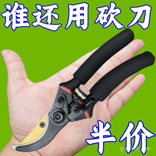 ✨限時優惠✨ 德國精工藝園剪刀剪樹枝專用剪刀修枝剪園林果樹修花家用SK5剪子 8KVX