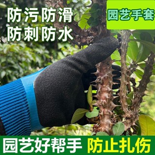 💧現48h出庫💧臺灣精品防割防刺防水手套園林種花月季種植花藝手套防紮種菜拔草園藝手套