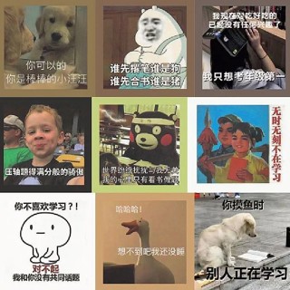 店長推薦🔥臺灣出貨🔥60張勵誌沙鵰個性激勵認真學習錶情包貼紙搞笑防水手機手賬裝飾貼