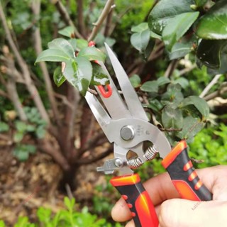 限時#蘋果果樹疏花剪刀疏果雙口剪不銹鋼煅打蘋果樹梨樹果樹果農不傷花