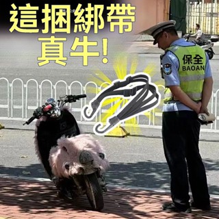 臺灣發貨 摩託車綁帶 彈力繩 電瓶車牛筋捆綁帶 後座固定頭盔行李繩 電動車貨架繩 騎行貨品固定繩 行李束帶