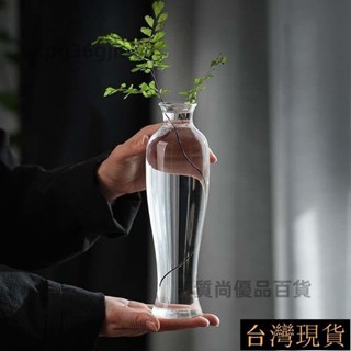 🚀臺灣出貨🚀 透明花瓶 玻璃花瓶 造型花瓶 水培容器 花器 日式禪意透明玻璃花瓶 觀音瓶 供臺茶室藝術館擺件 高檔花