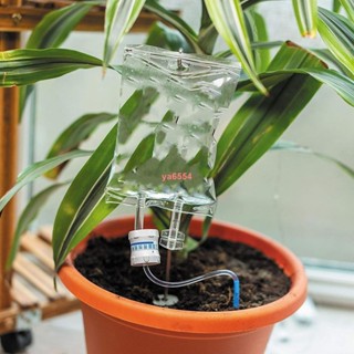 懶人自動澆水器 350ml綠植花朵盆栽控制調節澆水自動滴水澆花器花草植物加濕