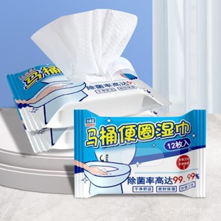 🌈臺灣熱銷🌷馬桶清潔消毒濕巾家用衛生間厠所濕紙馬桶圈酒精殺菌一次性濕紙巾 XQXP