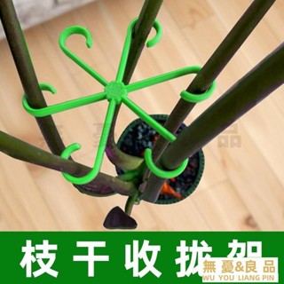 龜背竹 植物莖支架 植物支架 龜背芋架 花莖架 隱形支撐架 透明支架 植物固定支架 T305