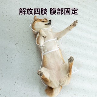 🔥免運🔥桃園出貨🔥狗狗雨衣泰迪柴犬小型金毛中型雨披防水透明寵物柯基神器衣服雨天