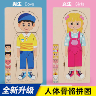蒙氏男生女生人體骨骼拼圖早教拼圖多層拼圖拼板兒童益智木質玩具xw546jhps7